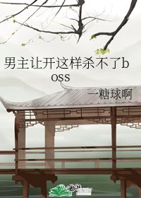 男主让开这样杀不了boss